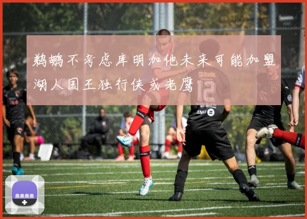 鹈鹕不考虑库明加他未来可能加盟湖人国王独行侠或老鹰